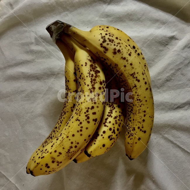 바나나,노란색,노랑,슈가스팟,banana,과일,음식,식재료,요리,food,cook,meal,dishes,food reserves,과일,열매,fruit