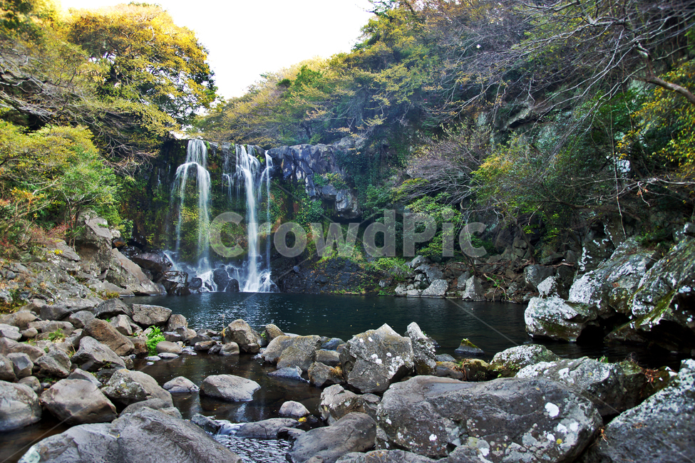 제주,천제연폭포,2단폭포,제주관광지,현무암,자연,풍경,nature,landscape,한국자연풍경,한국자연경관,korea nature landscape,제주도,jeju,jeju island,water,물,outdoors,옥외,river,강