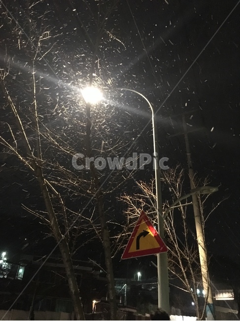 눈속,눈발,가로등,야경,겨울,winter