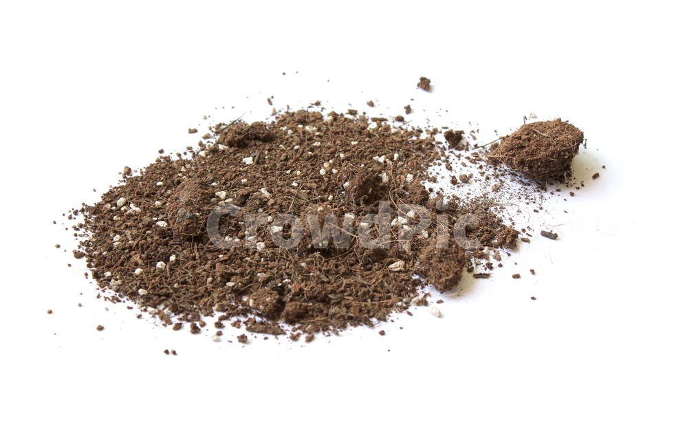 흙,모래,soil,sand,soiltexture,덩어리,탑앵글,흰배경,누끼,가루,흙가루,모래가루,갈색,브라운,텍스춰,건조한,black,botany,brown,closeup,compost,dark,dirt,dirty,dry,dust,grain,heap,humus,ingredient,macro,mineral,nobody,object,organic,path,powder,splash,spray,texture,topview,toxic,뿌린,누끼,remove background