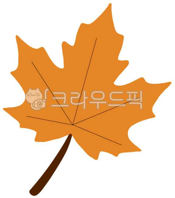 낙엽,단풍,단풍잎,붉은단풍잎,가을낙엽,가을단풍,가을