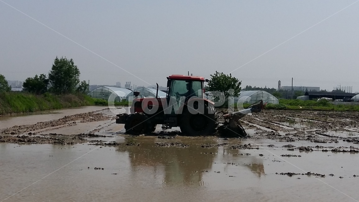 논풍경,농수로,벼,들판,논,산업,industry,industrial,농업,농사,agriculture,farming,farming industry