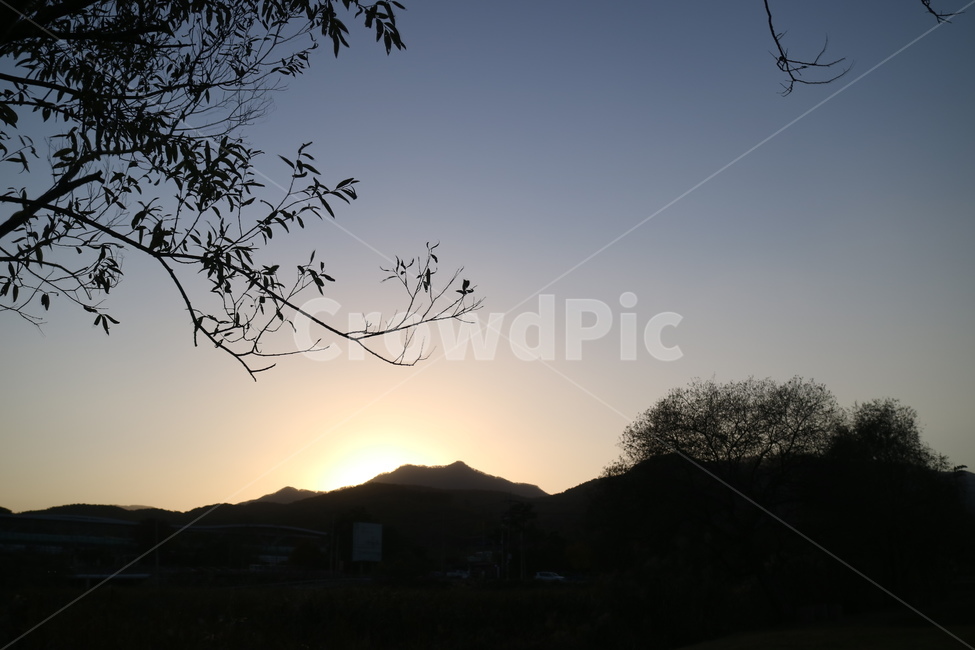 나무,하늘,남양주,저녁노을,노을,감성,자연,풍경,nature,landscape,outdoors,옥외,flare,플레어,light,빛