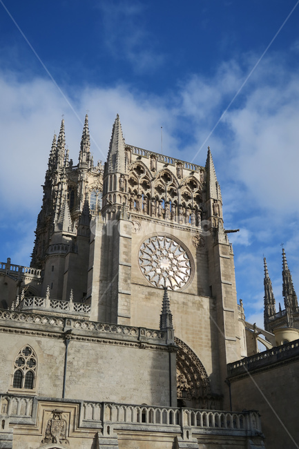 스페인,spain,españa,산티아고순례길,순례길,caminodesantiago,camino,건축물,건축,architecture,arquitectura,대성당,성당,부르고스대성당,부르고스,burgos,교회,장식,decoration,스테인드글라스,tower,탑