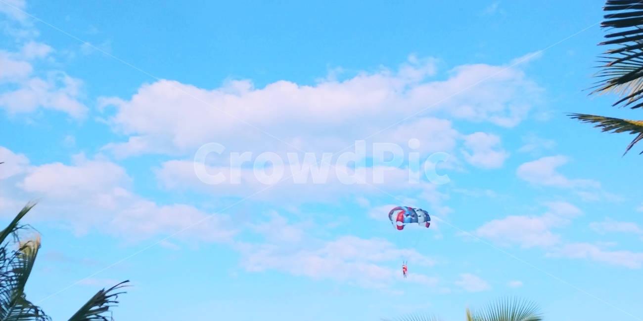 adventure,모험,레저활동,gliding,활공,페러세일링,하늘,sky