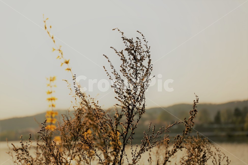 자연,풍경,힐링,감성,가을