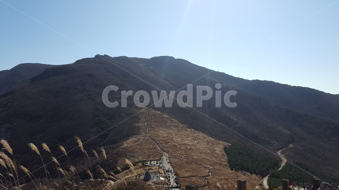 울산,신불산,억새,평원,가을