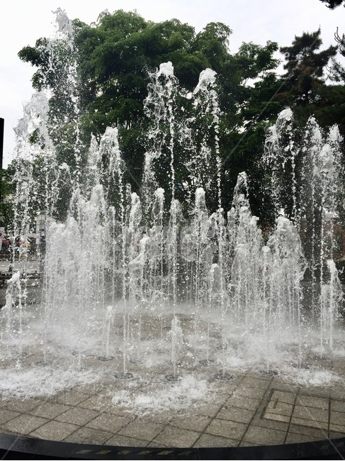 도시환경,분수,생활,공원,여름,여름,계절,summer,season,water,물
