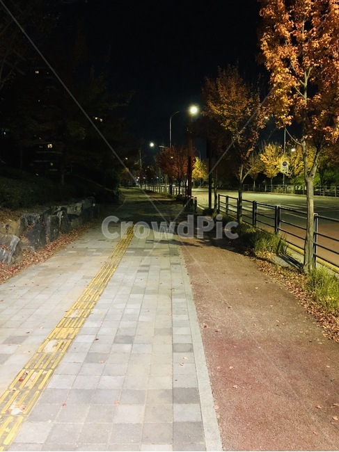 저녁,거리,도로,한적,낙엽,가을