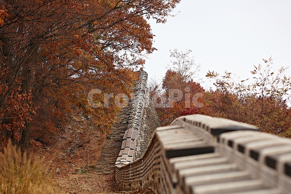 남한산성,성,성곽,단풍,낙엽,길,둘레길,숲,숲길,담,돌담,가을,자연,풍경,벽,울긋불긋,산성,식물,가을,계절,fall,autumn,season,plant,leaf,잎,tree,나무