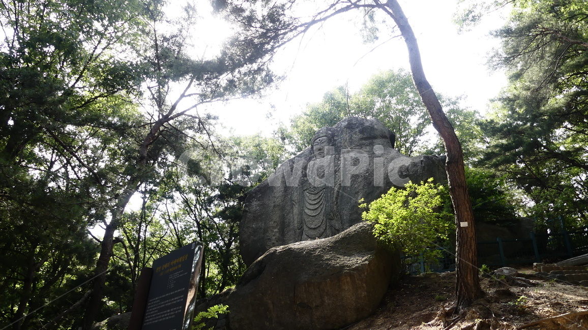 불상,자연휴양림,여래입상,천안,삼태리,마애여래입상,불심,종교,기도