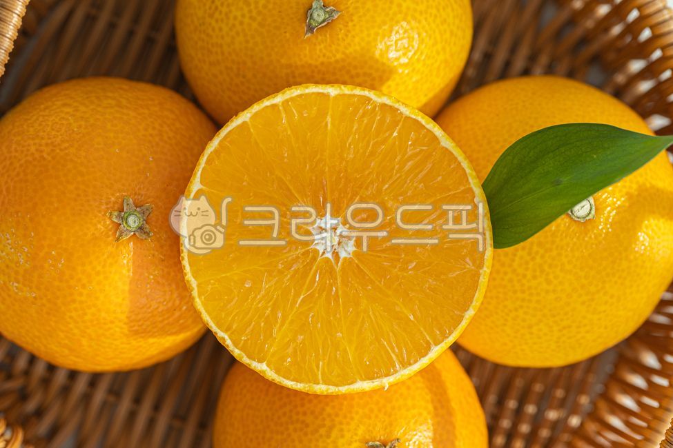 과일,감귤류,귤,천혜향,한라봉,레드향,황금향,제주도,비타민c,감귤