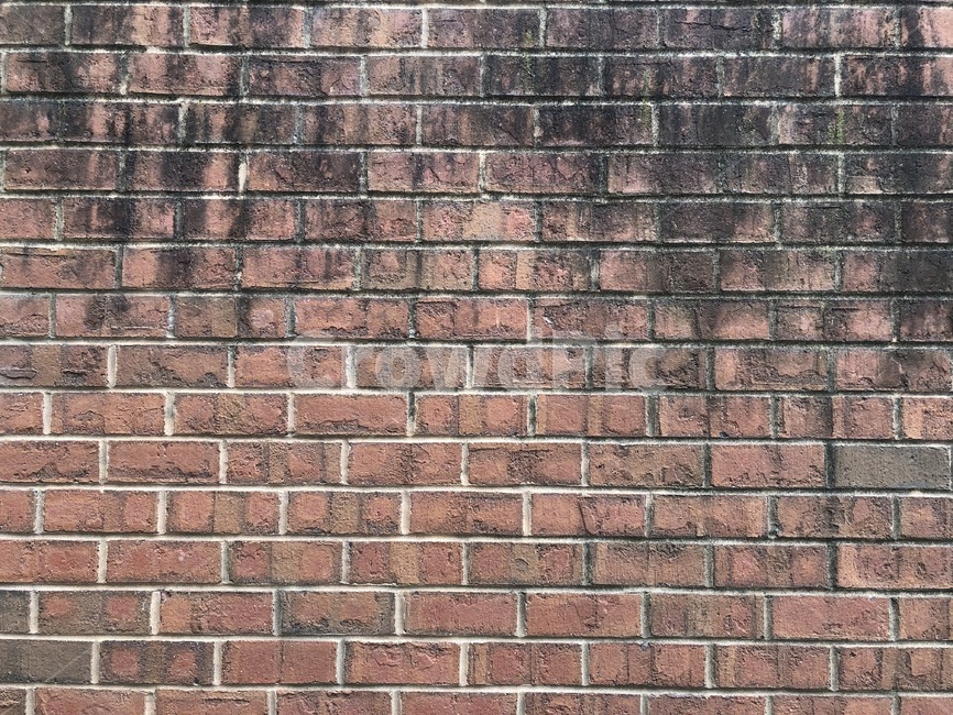 벽돌,벽,bricks,brickwall,빨간벽돌,벽돌배경