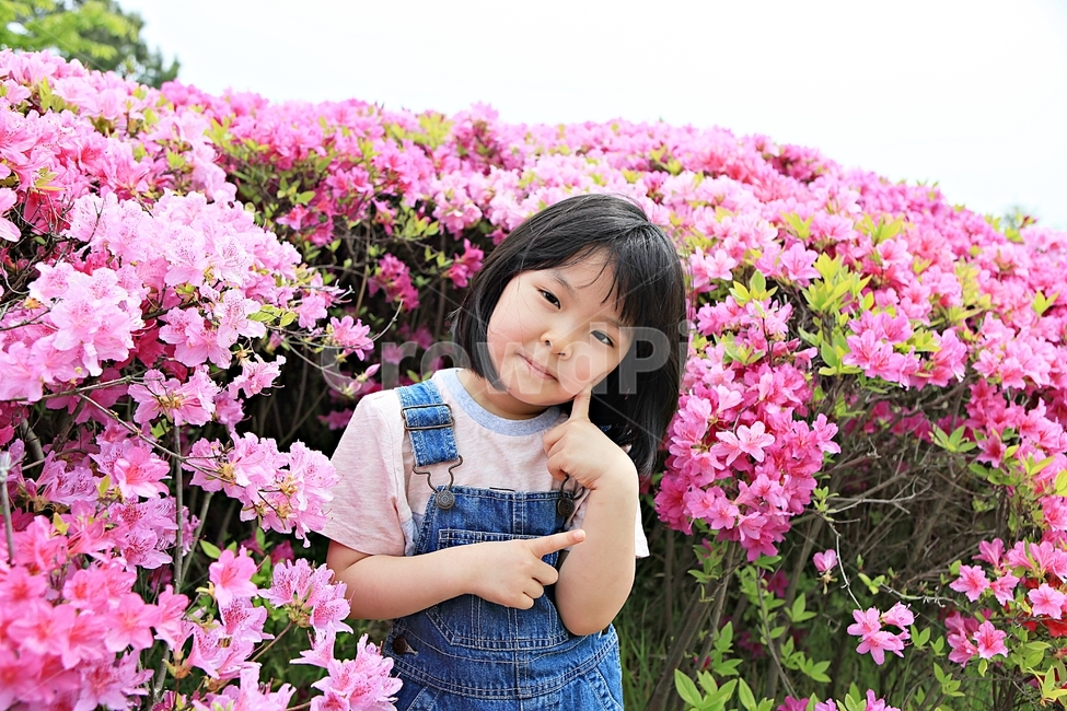 여자아이,아이,어린이,사람,자연,배경