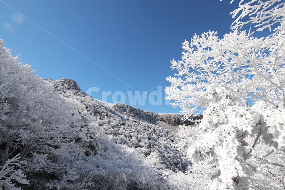 한라산,상고대,설산,겨울,겨울산행,눈꽃,진달래대피소,성판악,관음사,제주도,제주,백록담,겨울,계절,winter,season,자연,풍경,nature,landscape,한국자연풍경,한국자연경관,korea nature landscape,제주도,jeju,jeju island,ice,얼음,outdoors,옥외,snow,눈