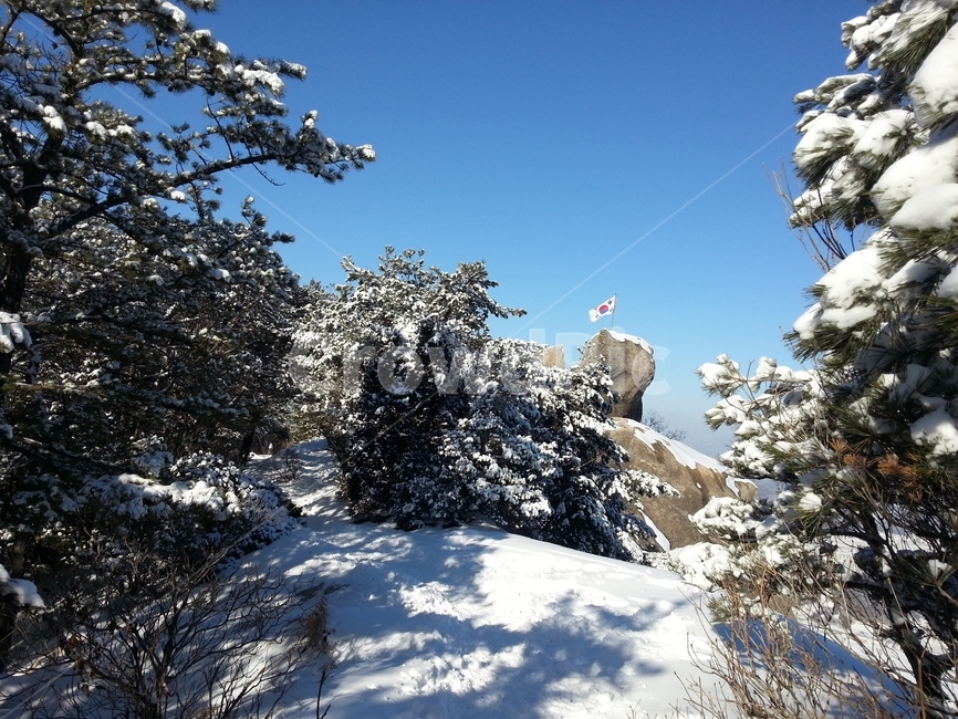 설경,눈꽃,눈,겨울산,나무,식물,겨울,계절,winter,season,자연,풍경,nature,landscape