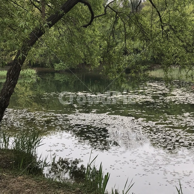 water,nature,자연,outdoors,옥외,공원,park