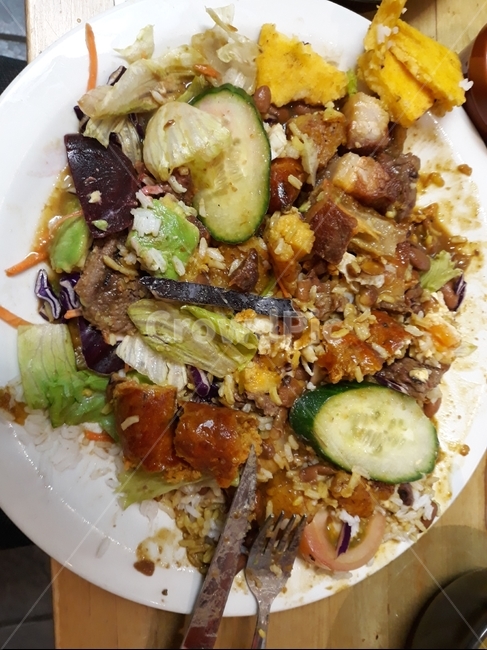 food,meal,식사,dish,비빔밥