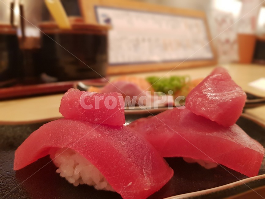 참치,스시,일본,초밥,음식