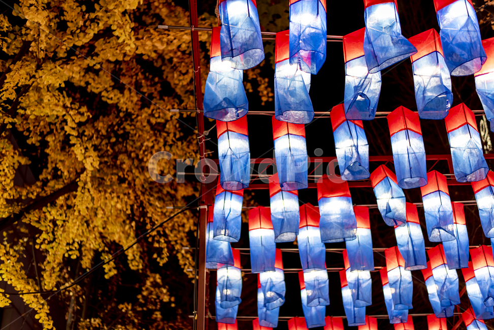은행나무,전통,밤,등불,빛,야경,밤,풍경,nightscape,night,landscape,한국전통,한국문화,korean traditional,korean culture