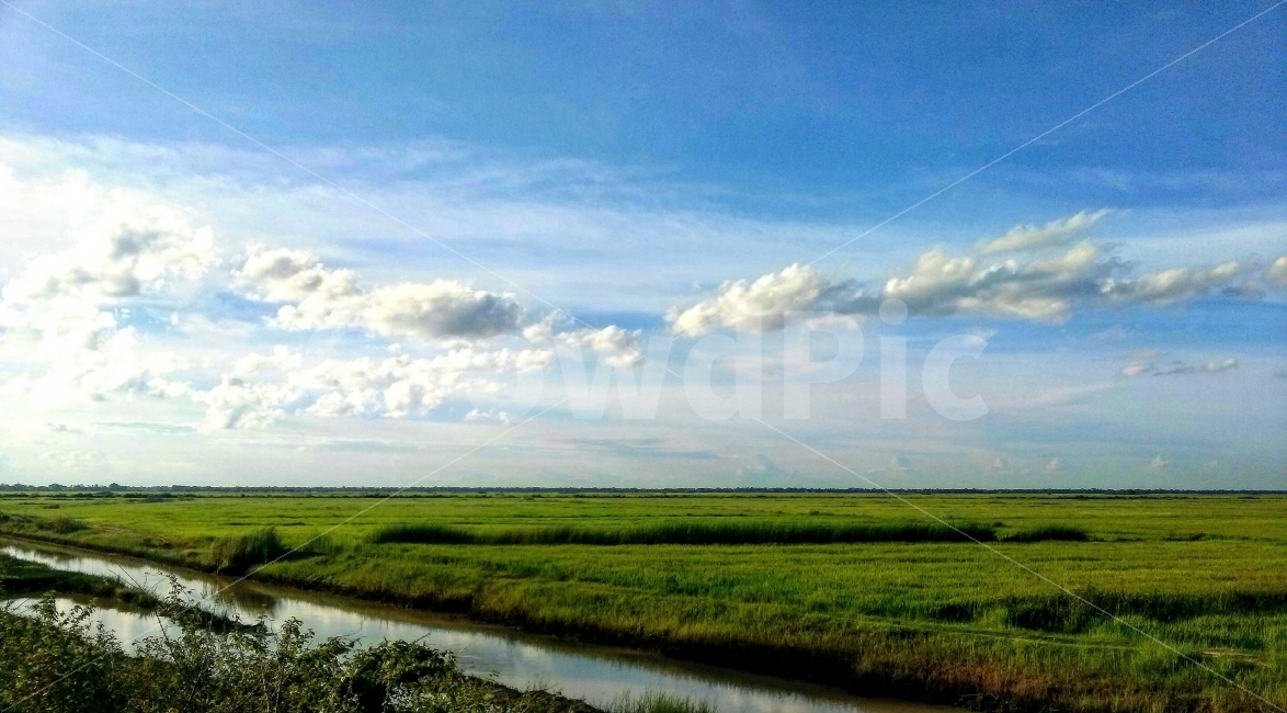 푸른,하늘,초원,풀,구름,들판,오후,화창한,blue,green,sky,cloud,grassland,자연,풍경,nature,landscape,outdoors,옥외,field,들,목초지,land,땅