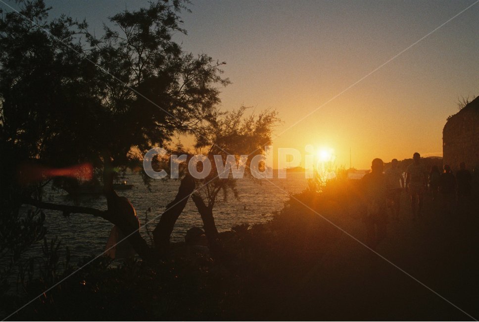 햇빛,flare,플레어,nature,자연,outdoors,풍경,경치,sunset,노을,선셋