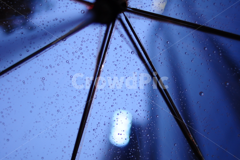 우산,투명우산,빗방울,비,비내리는날,비,비오는날,rain,rainy