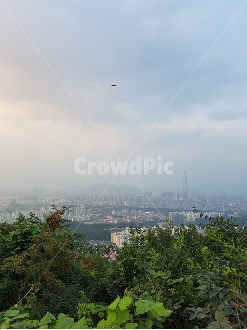 대모산,대모산정상,서울풍경,서울조망,경치,자연,풍경,nature,landscape,scenery