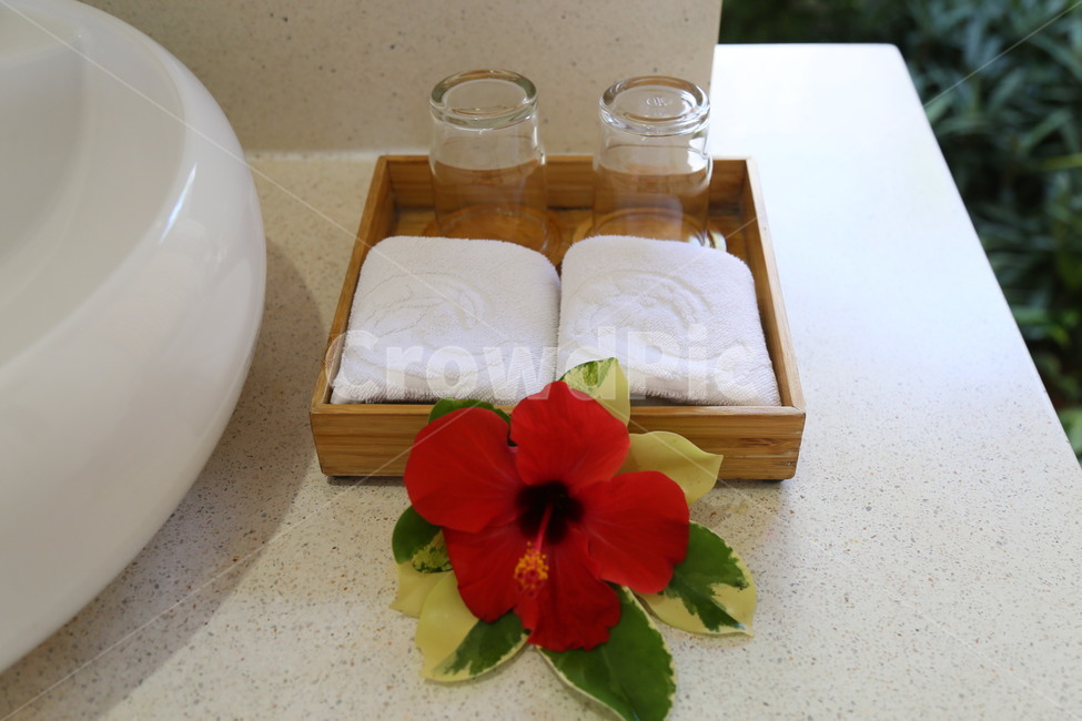 decor,homedecor,toiletdecor,design,flowerdecor,타월,수건,꽃장식