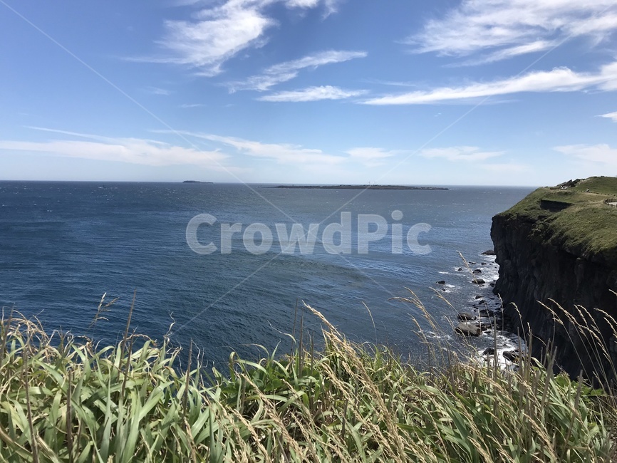 promontory,곶,nature,자연,cliff,낭떠러지,outdoors,제주도,제주,jeju,갈대,바다,ocean,sea,water,해안선,자연,풍경,nature,landscape,옥외