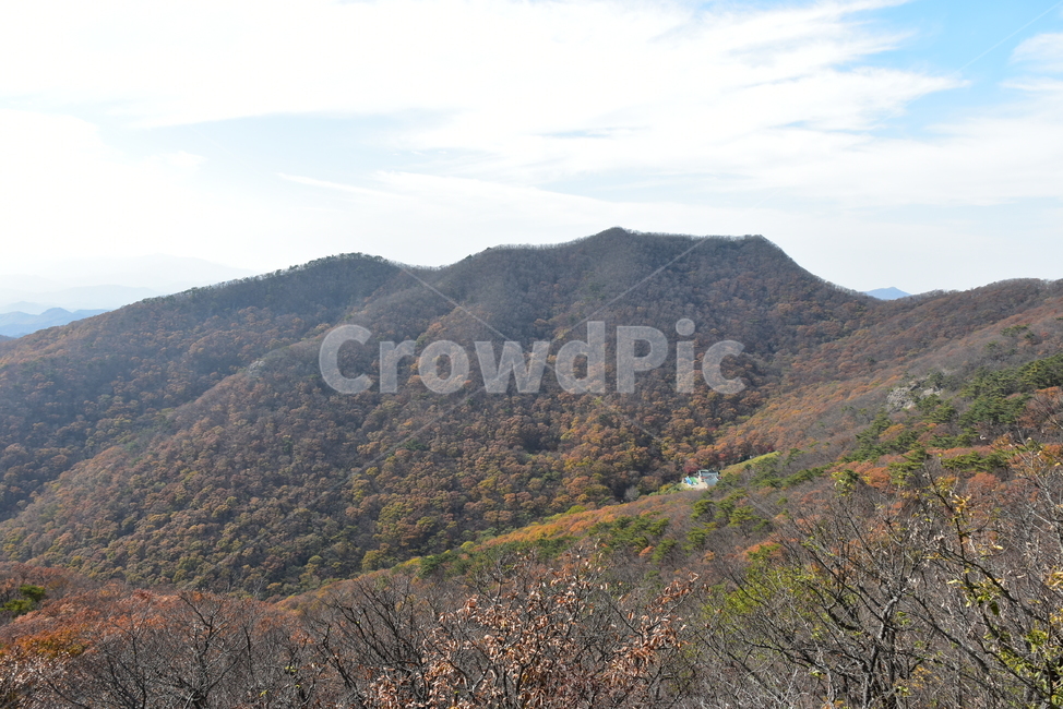 자연,풍경,단풍,계절,가을,잎,붉은,노란,낙엽,나무,백암산,fall,autumn,season,nature,landscape,한국자연풍경,한국자연경관,korea,tree,maple,leaf,가을,계절,fall,autumn,season,자연,풍경,nature,landscape,outdoors,옥외,hill,언덕