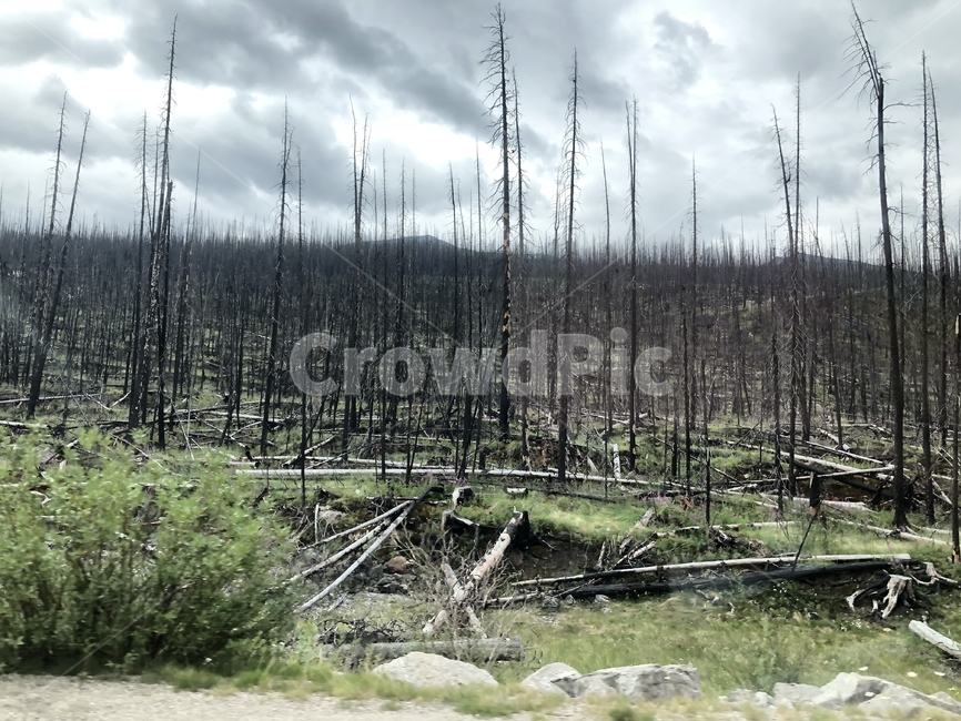 Canada,lake scenery,natural scenery,Canadas National Parks,banff,lake
