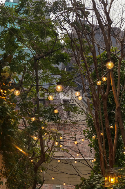 일본감성,light,mood,거리,road,도시,풍경,city,landscape,식물,자연,plants,nature,나무,trees,wood,건축물,건물외관,exterior,building,structure,architecture,construction