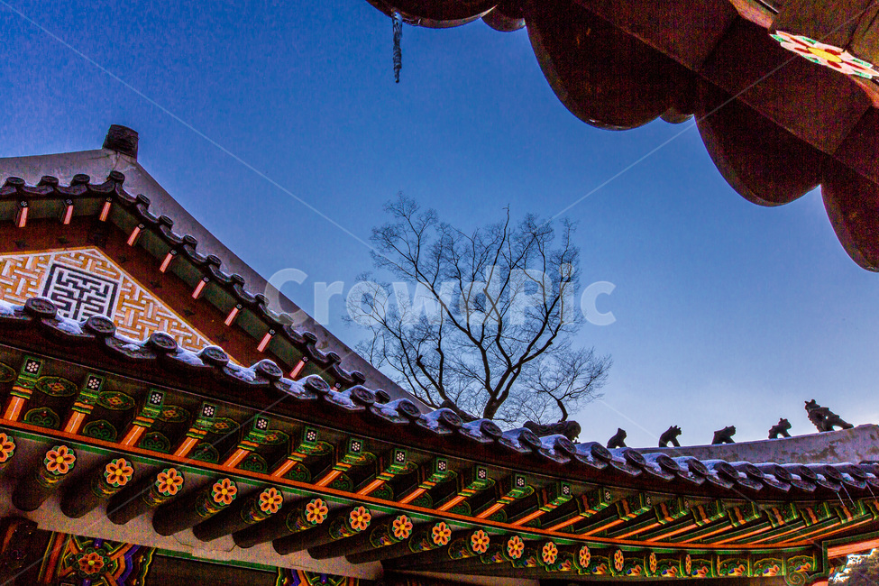 문화유산,단청,기와,패턴,선,전통,겨울,계절,winter,season,한국전통,한국문화,korean traditional,korean culture,건축물,건물외관,exterior,building,structure,architecture,construction