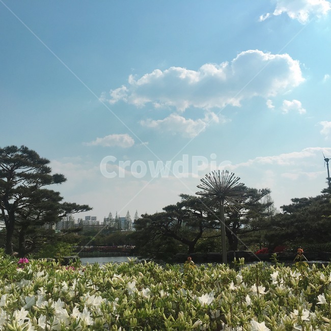 김해,연지공원,나들이,산책,공원,자연,풍경,호수,나무,자연,풍경,nature,landscape,식물,plants,꽃,flower,나무,trees,wood,outdoors,옥외
