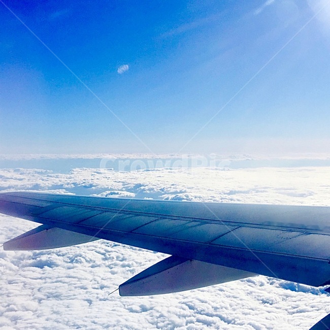 transportation,교통,vehicle,aircraft,차량,항공기,flight,비행,비행기,하늘,구름,비행기날개,sky,cloud