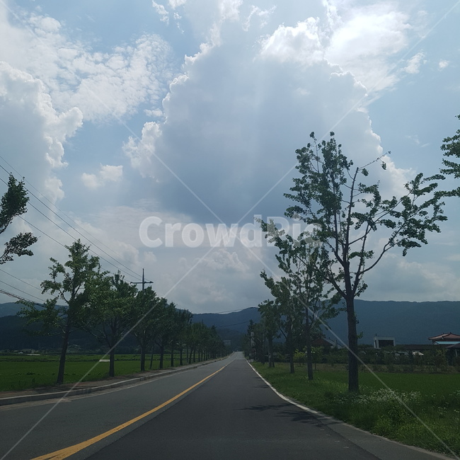 햇빛,구름,도로,나무,논