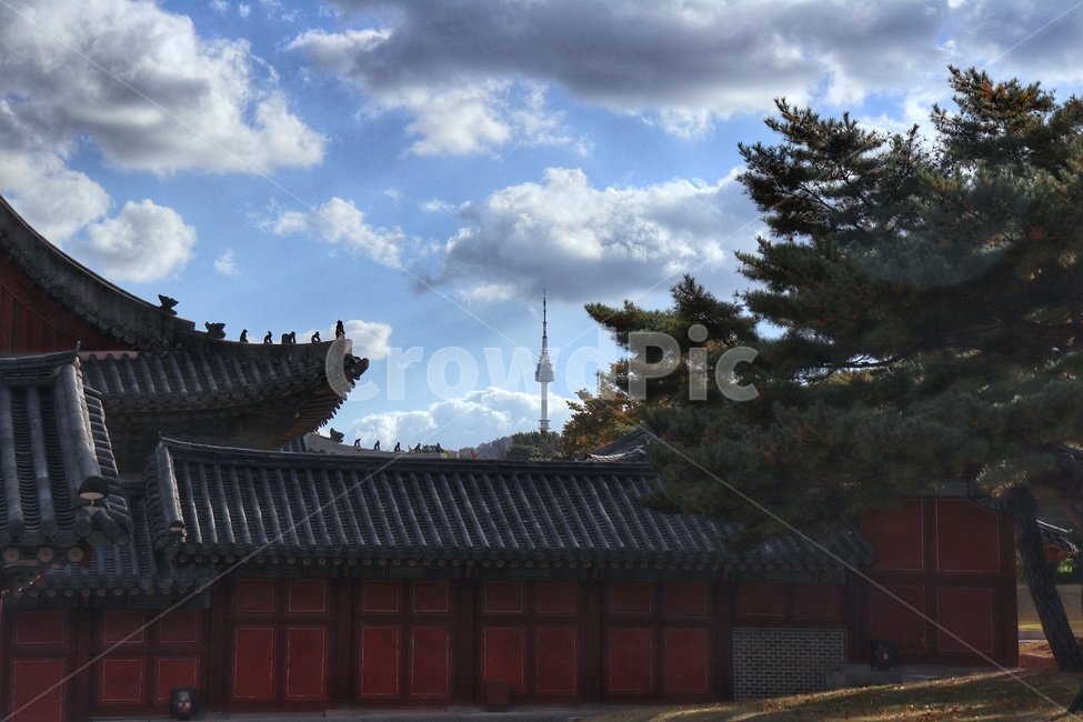 창경궁,남산타워,하늘,5대궁,배경,랜드마크,landmark,tourist attraction,한국랜드마크,한국관광지,한국명소,korea landmark,korea tourist attraction