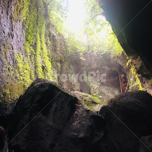nature,자연,cave,동굴,정글