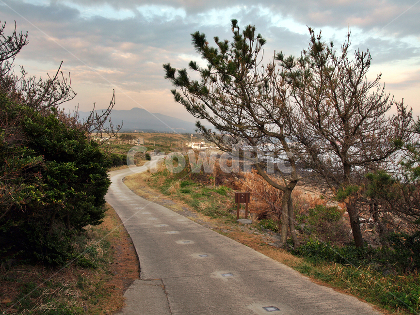 올레8코스,올레길,제주,서귀포시,도로,일몰,자연,풍경,nature,landscape,asphalt,아스팔트,road