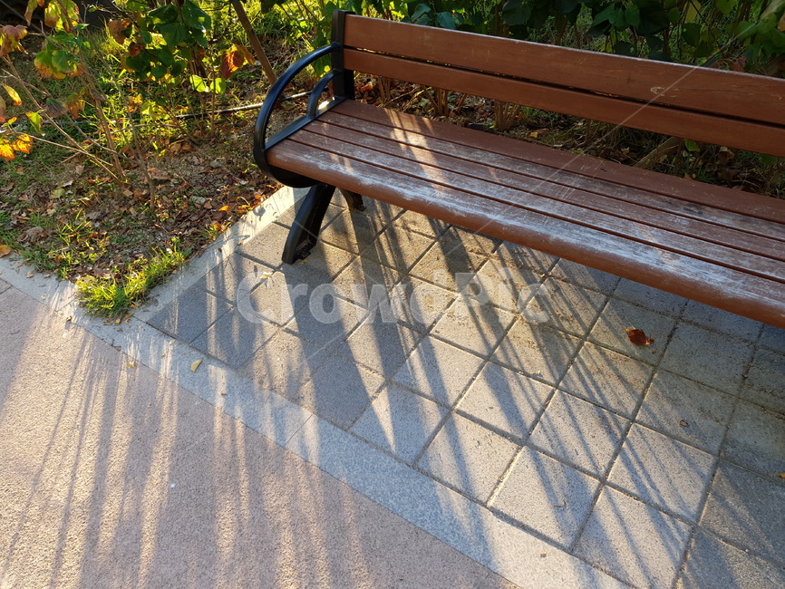 bench,벤치,parkbench,공원벤치,빛,그림자,휴식,감성,나무의자,저녁,해질녁,쓸쓸함,외로움,가을,힐링,rest,relaxation,healing