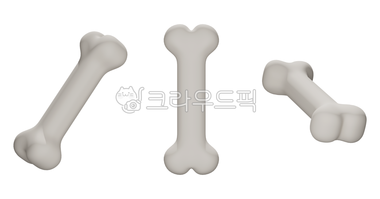뼈,정형외과,신체,관절,건강,개,강아지,간식,개간식,개사료,강아지간식,강아지사료,개껌,인체,해골,외과,아이콘,3d,쓰리디