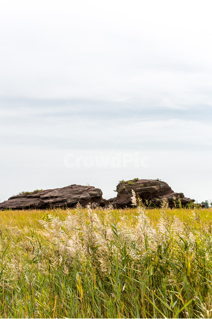 우움도,갈대,습지,휴식,풍경,구름,감성,자연,풍경,nature,landscape,한국자연풍경,한국자연경관,korea nature landscape,outdoors,옥외,grassland,목초지,field,들