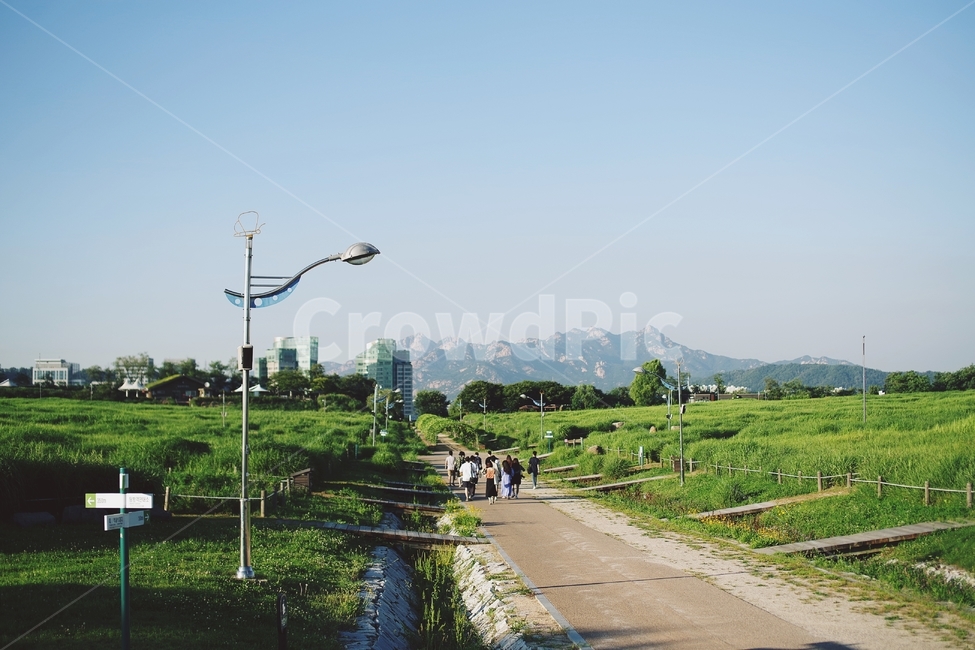 가을,하늘,꽃,꽃밭,구름,나비,풍경,정경,감성,감성사진,풀,풀밭,코스모스,autumn,sky,park,flower,wind,butterfly,nature,자연,풍경,nature,landscape,사람들,대중,군중,other people,crowd