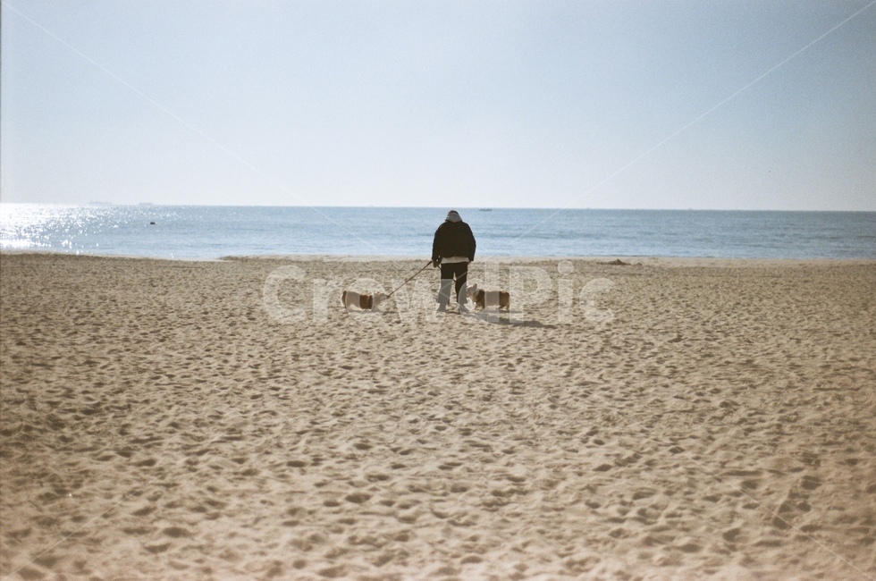 dog,human,자연속인간,sea,ocean,view,부산,바다