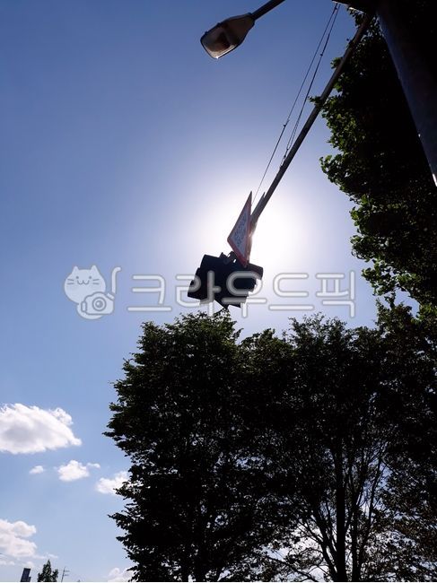 light,빛,표지판,천천히,교통표지판,천천히표지판,하늘,그림자,나무