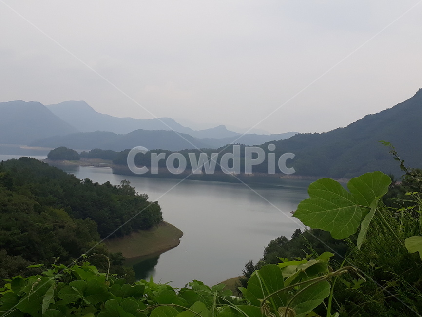 단양,충북,산세,남한강,여름풍경