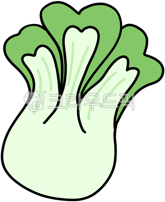 Vegetables,baby food ingredients,bok choy,vegetable illustration,baby food,vegetable drawing,bok choy model,bok choy types,bok choy drawing,bok choy illustrator,bok choy cabbage,bok choy illustration,bok choy shape,bok choy hand drawing,bok 