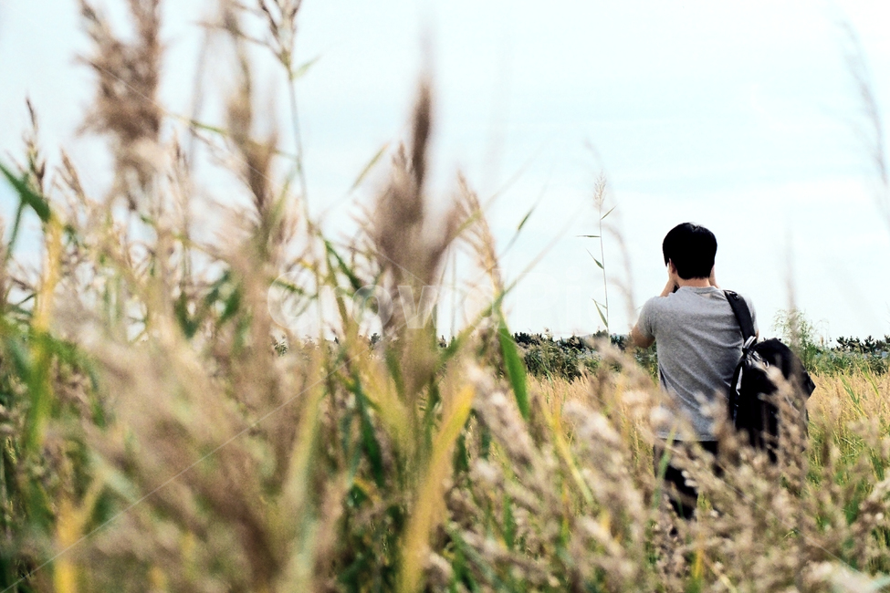 필름,필름사진,필름느낌,필름감성,갈대밭,바람,가을,풍경,사진촬영,뒷모습,포즈,사진작가,사진가,남자,남성,청년,사람,휴식,힐링,human,person,grass,plant,가을,계절,fall,autumn,season,사진작가,포토그래퍼,photographer,잔디,식물