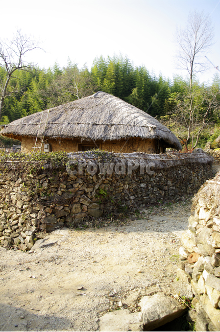 초가지붕,전통가옥,한국,초가집,담장,한국전통,한국문화,korean traditional,korean culture,건축물,건물외관,exterior,building,structure,architecture,construction